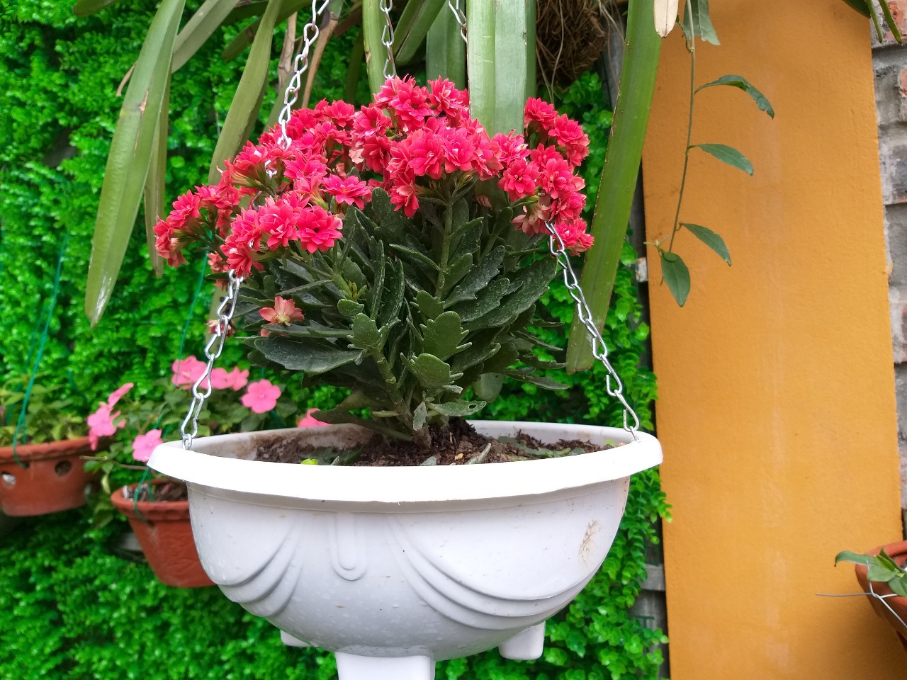 Les paysages de Lys Homestay10