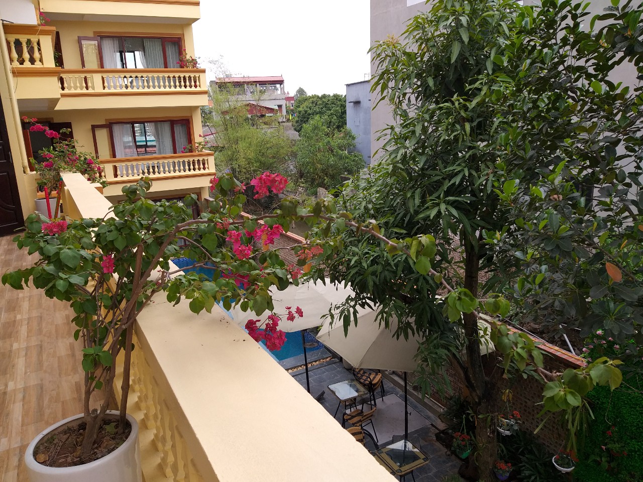 Les paysages de Lys Homestay13