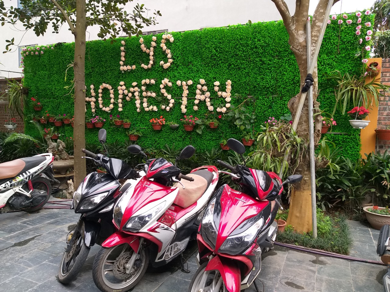 Les paysages de Lys Homestay9