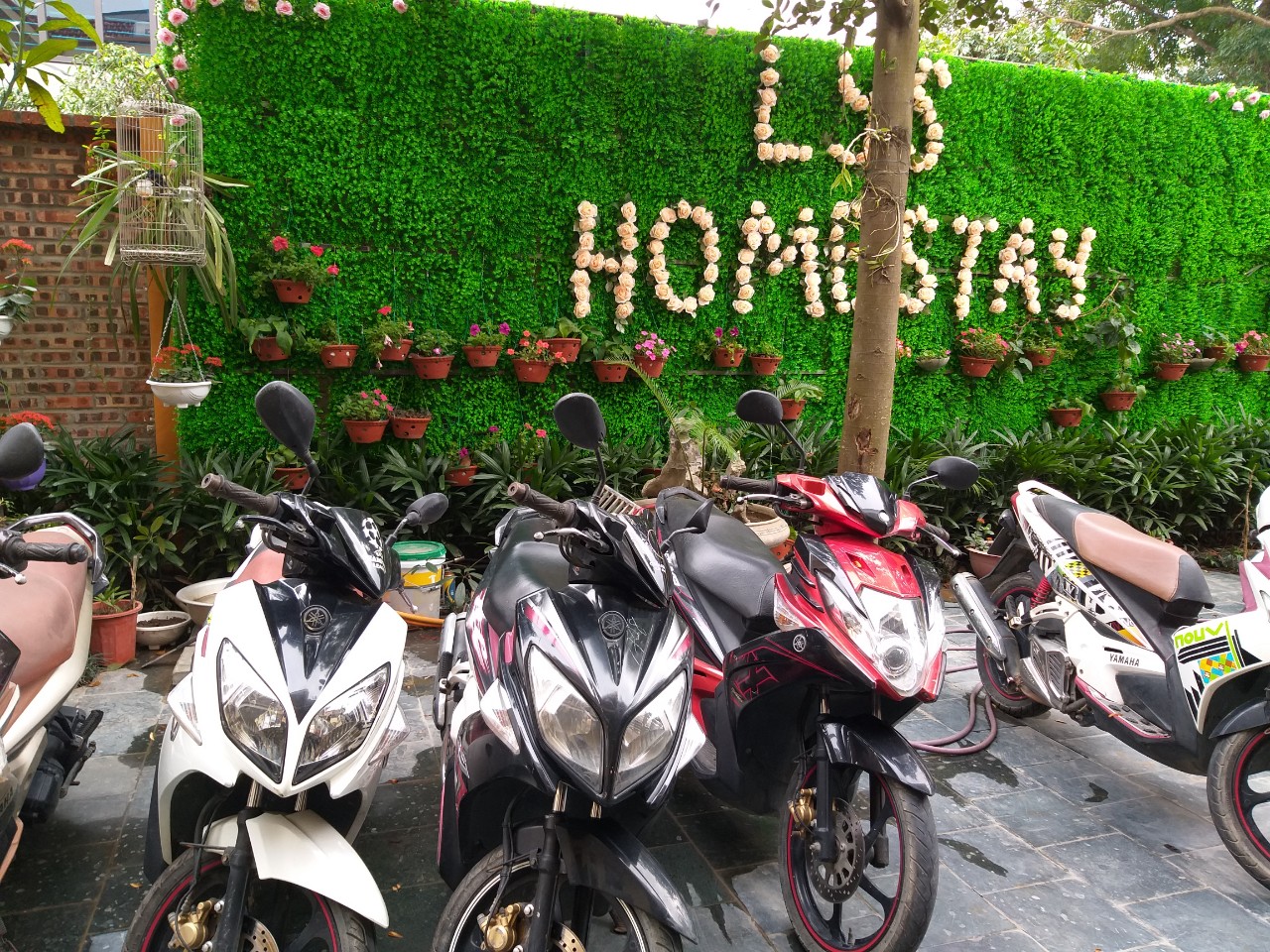 Quang cảnh Lys Homestay 6