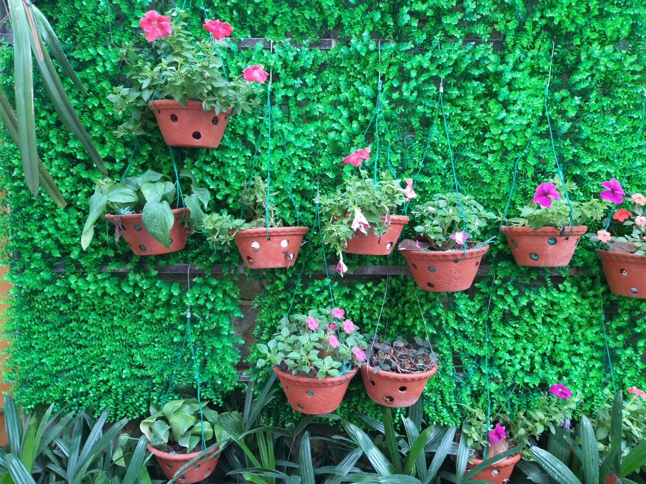 Les paysages de Lys Homestay14