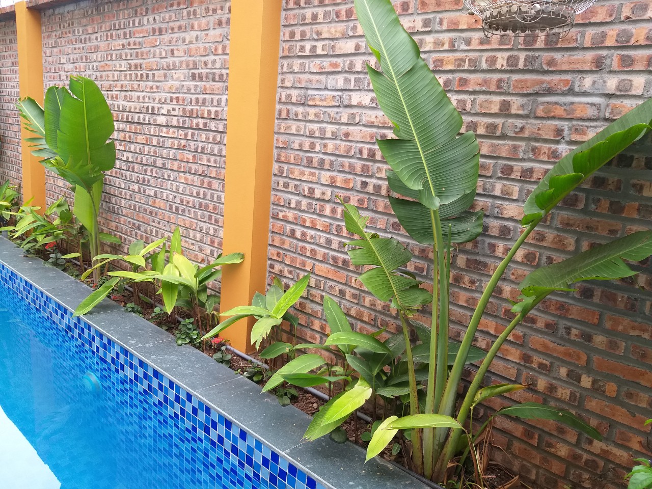 Les paysages de Lys Homestay15
