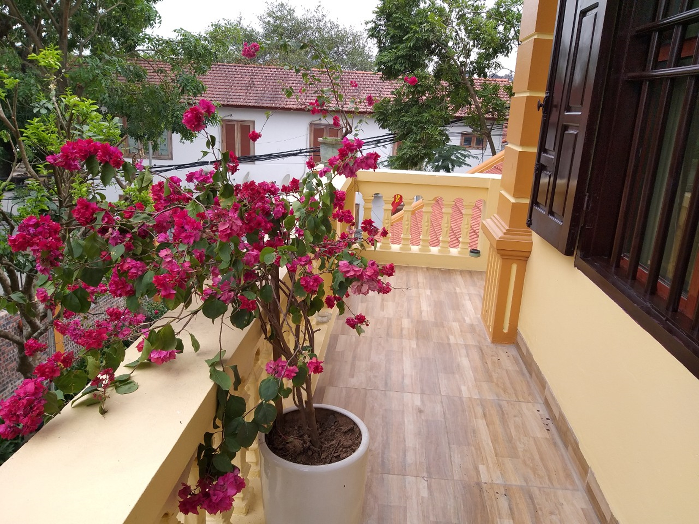 Les paysages de Lys Homestay4