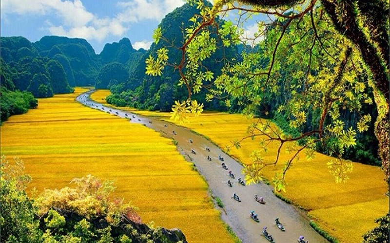 Trang An1
