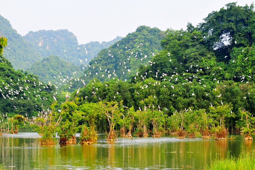 Thung Nham